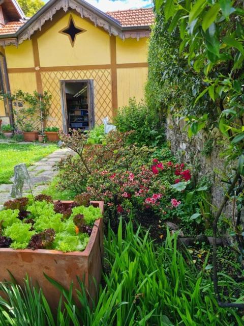 Ca Balossa, Tremezzina Lago Di Como Davanti A Bellagio E Villa Balbianello Mezzegra Dış mekan fotoğraf